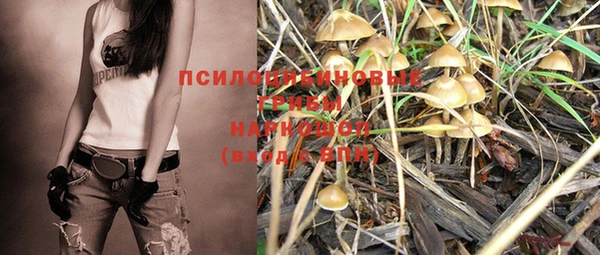 дживик Карталы