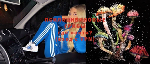 дживик Карталы