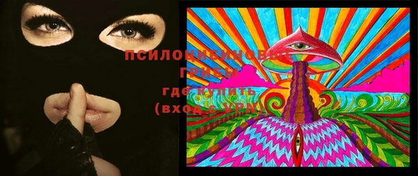 индика Иноземцево