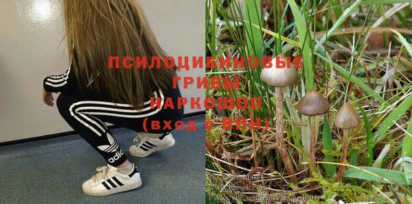 дживик Карталы