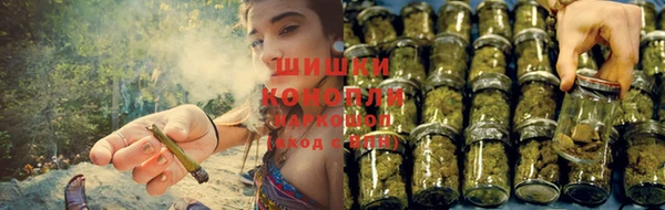 spice Карпинск