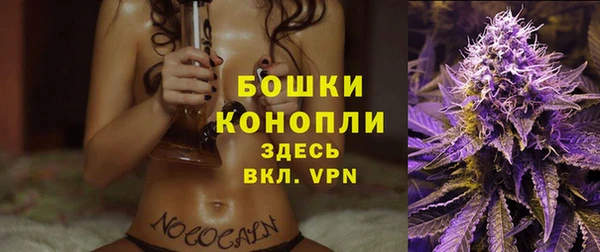 дживик Карталы