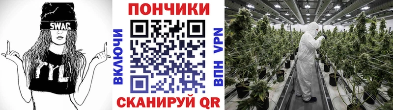 Купить  Кудымкар  Бошки Шишки индика 